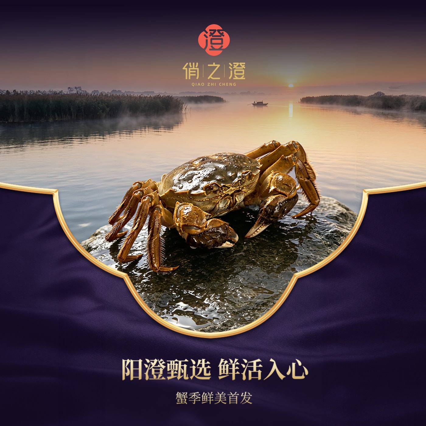 俏之澄 阳澄湖大闸蟹 · 阳澄甄选 鲜活入心