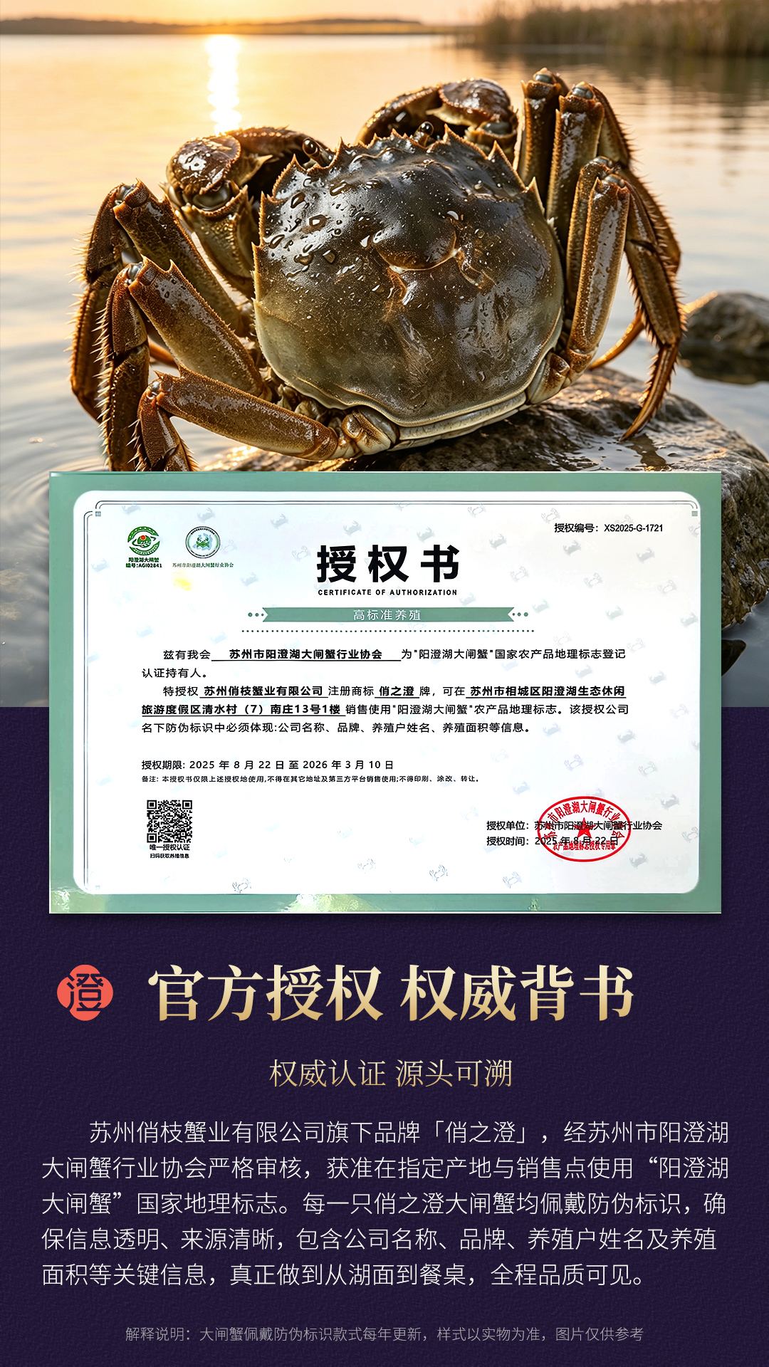 官方授权 权威背书